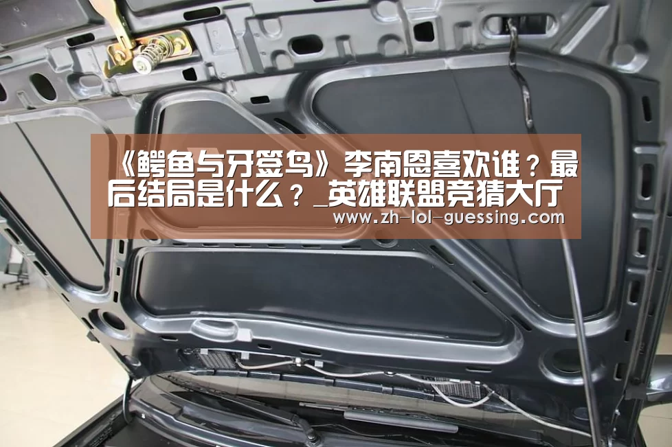 《鳄鱼与牙签鸟》李南恩喜欢谁?最后结局是什么?_英雄联盟竞猜大厅 (图2) LOL全球总决赛下注官方网站